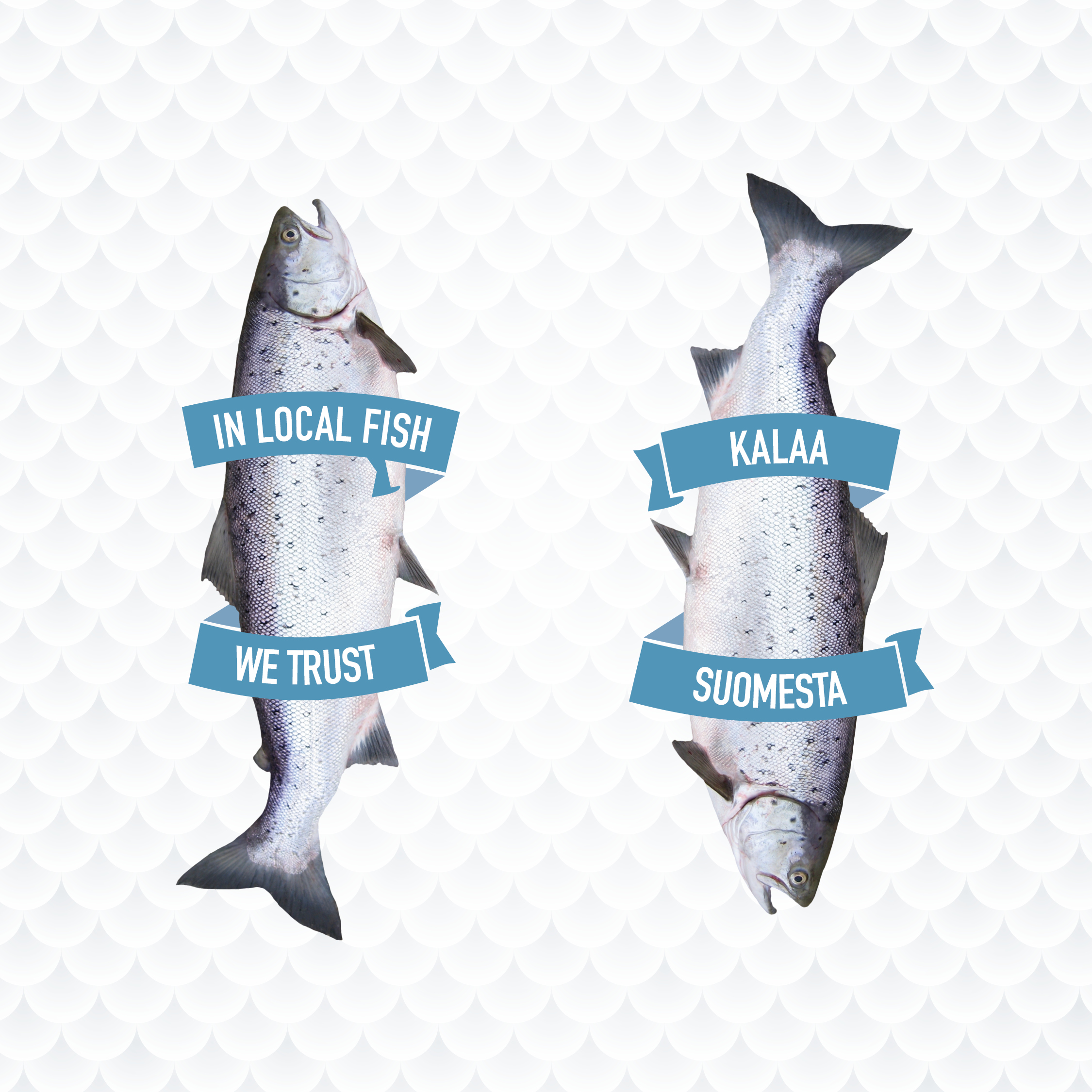 localfish